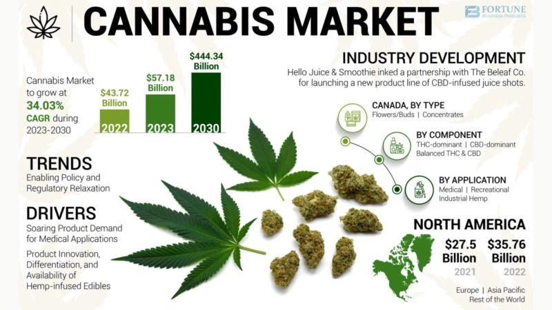 Cannabis Market Size, Share, Growth Potential and Industry Forecast by 2030