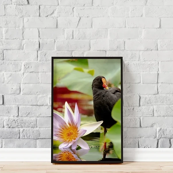 Capture the Sublime with Ran Fuchs' Fine Art Nature Photography Gallery