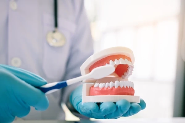 All About General Dentistry: Services, Care & Treatment Options