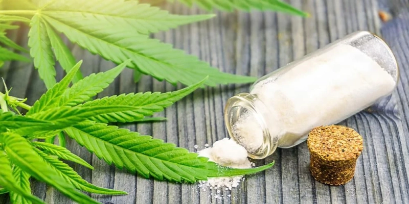 How CBD Isolate Can Enhance Your Wellness Routine?