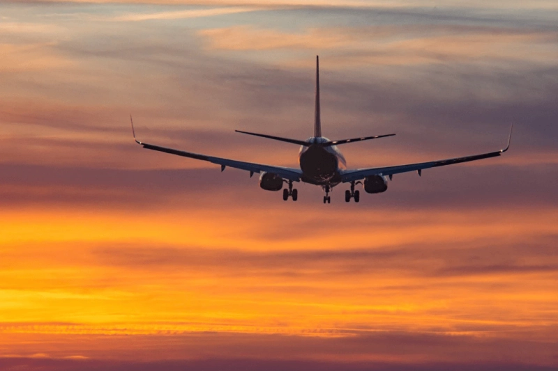 Need Help with Delta Airlines®️? Here’s How to Contact Them in the USA