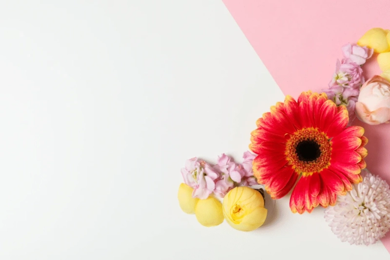 Understanding Support and Care Options for Women