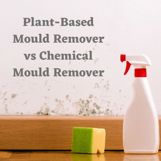 Plant-Based Mould Remover vs Chemical Mould Remover