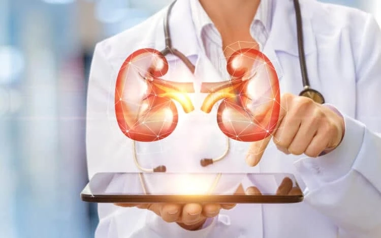 Symptoms, causes, and treatment of chronic kidney disease