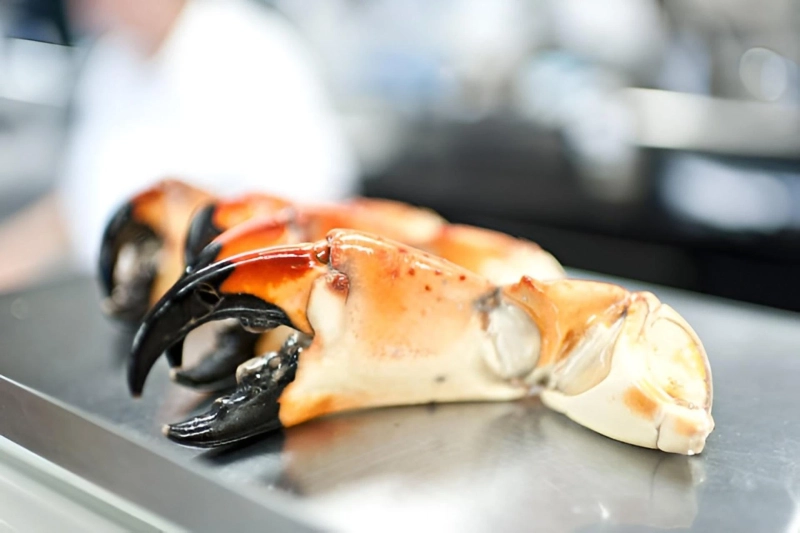 From Ocean to Table – The Journey of FL Stone Crab Claws