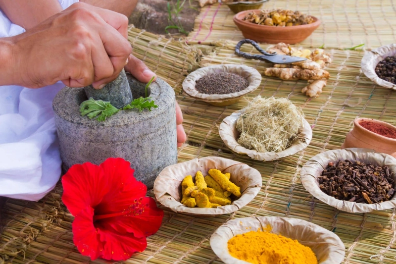 Understanding Ayurveda in Basic Vedic Science