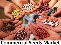 Commercial Seed Market 2021 Global Insights And Business Scenario, Trends And Forecast To 2030