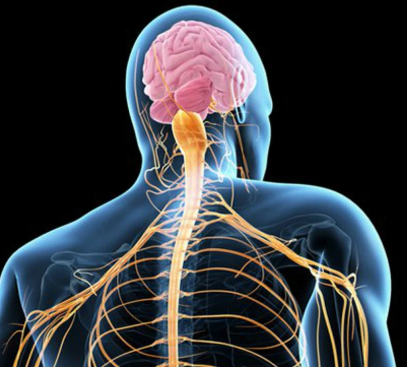 It is a progressive nerve disease with Amyotrophic Lateral Sclerosis treatment focused on managing symptoms and allowing the patient to live a good life