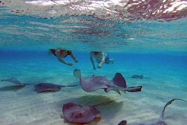 Pro Tips for Snorkeling and Water Sports in Grand Cayman