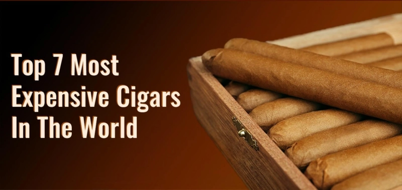 Top 7 Most Expensive Cigars in the World