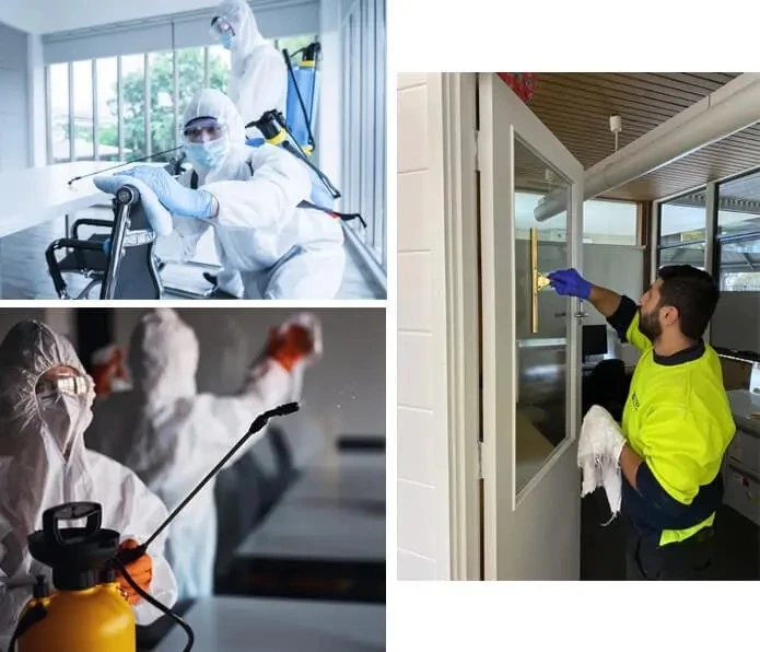 Why does everyone need a professional mould inspection