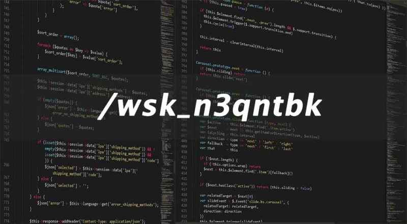 A Comprehensive Guide to Understanding /wsk_n3qntbk