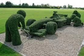 Choosing the Right Plants for Topiary: Navigating the Botanical Palette