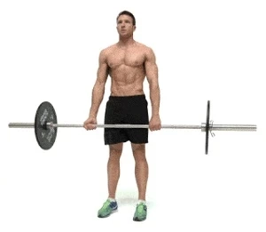 Crossfit Workouts For Beginners
