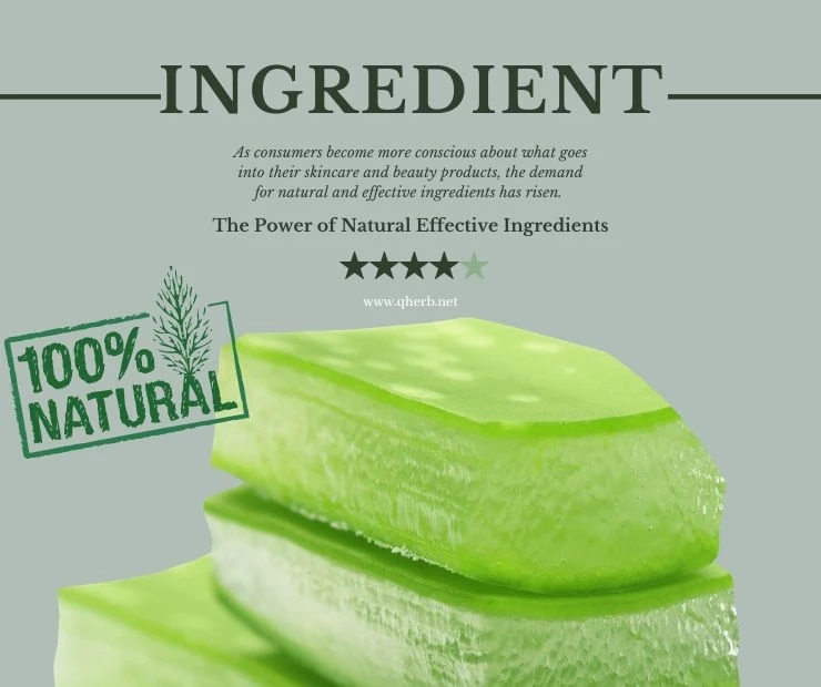 The Power of Natural Effective Ingredients: A Look at the Benefits