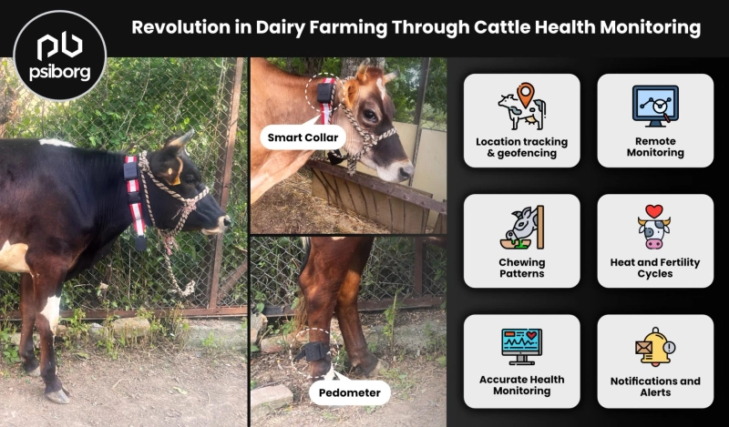How Cattle Health Monitoring Systems Are Revolutionizing Dairy & Livestock Farming