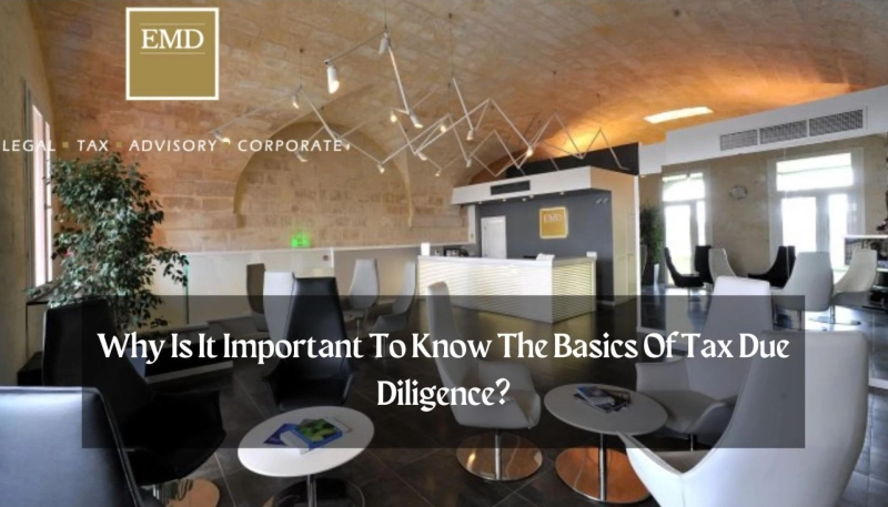 Why Is It Important To Know The Basics Of Tax Due Diligence?