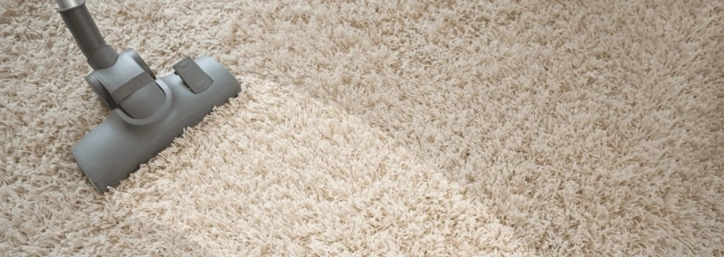 Kitty Litter Trouble? How To Keep Your Carpets Shining Despite Your Furry Friend