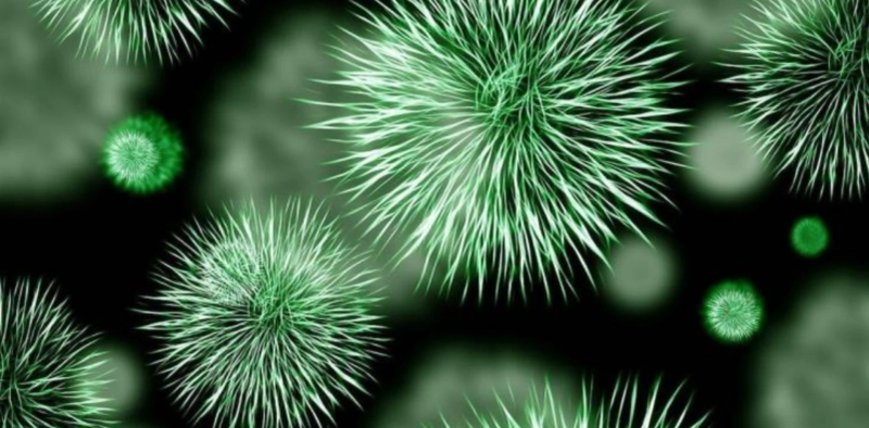 Both strong and tough, using bacteria to make automotive materials