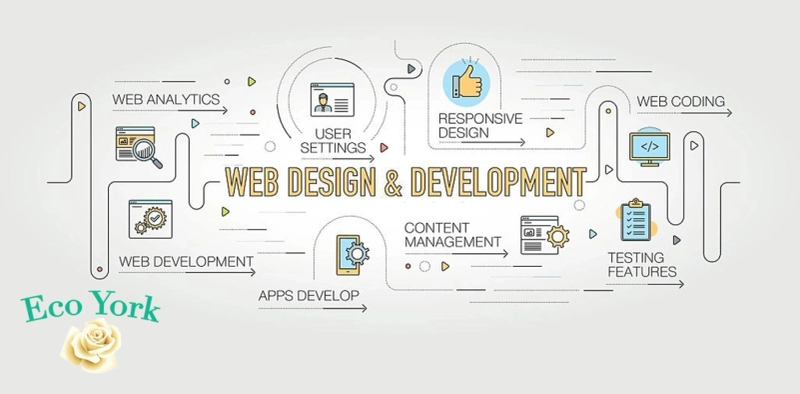 Step-by-Step Guide to the Website Development Process