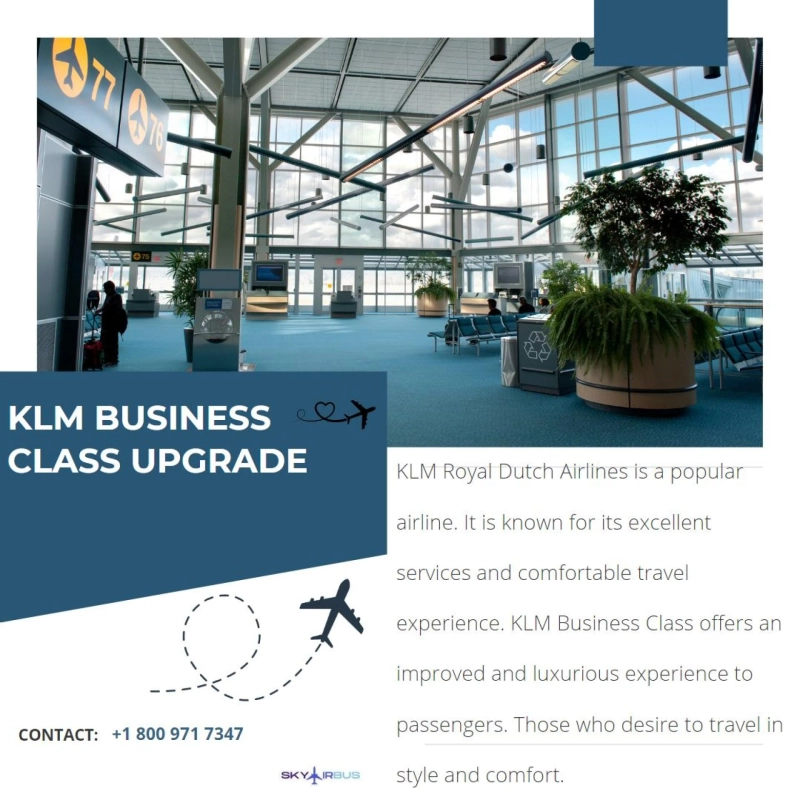 KLM upgrade to business class