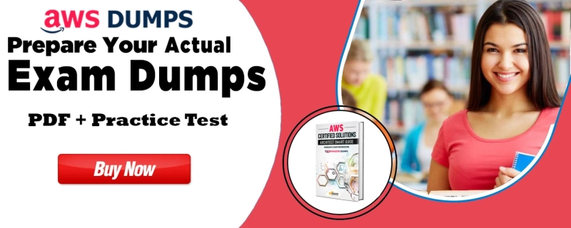 100% Reliable Amazon DOP-C01 Dumps Question Answers