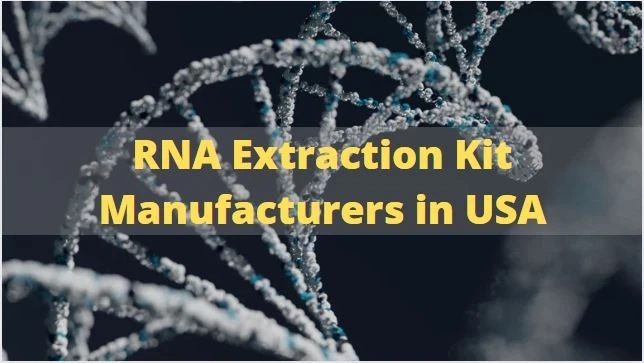 Organic extraction vs. Spin vs. MagneticIsolation of Viral RNA