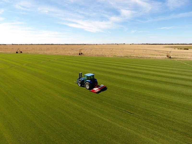 Lawn Care Services: The Secret to a Healthy, Green Yard All Year Round