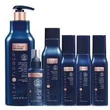 Healthy Hair With Phyto Hair Care Products