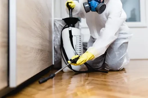 Pest Control Service for Restaurants in Selangor
