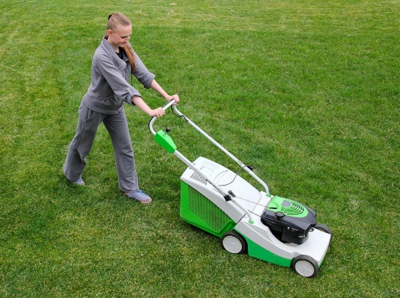 What You Need to Consider Before Buying a Lawn Mower