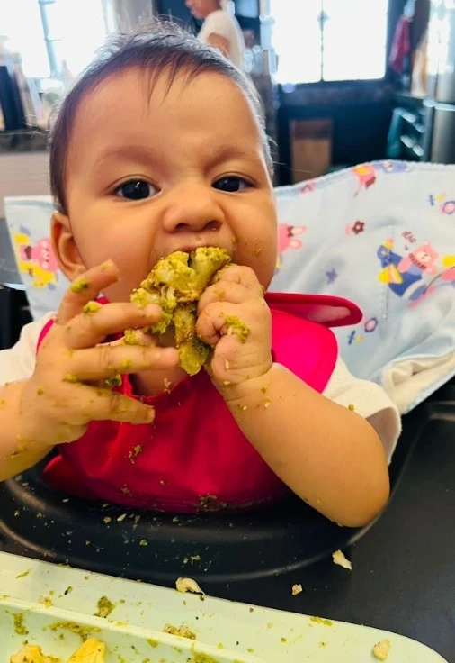 Baby-Led Weaning Recipes for Healthy Infant and Young Child Eating.