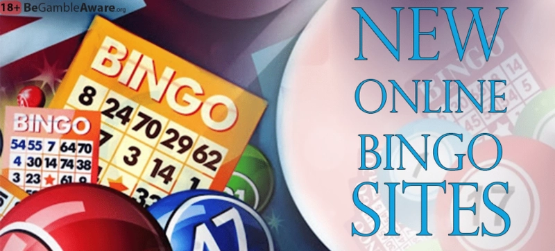 Look for in new online bingo sites website is the best?