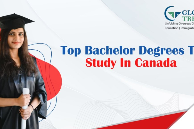 Top 5 Bachelor Degrees to Consider Studying in Canada