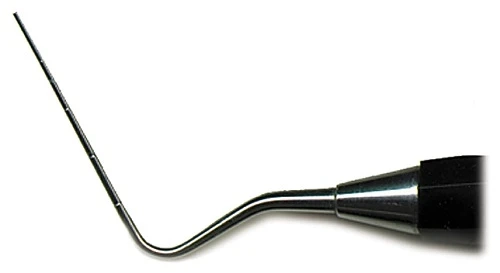 Essential Truths About Oral Health