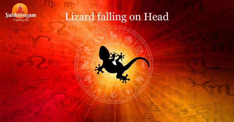 What Happens If lizard falls on Body parts