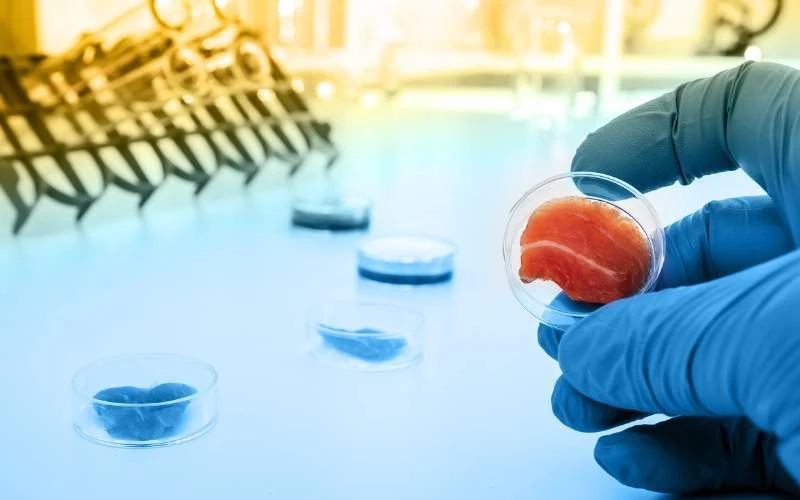 Future of Healthcare: A Comprehensive Guide to Stem Cell Therapy