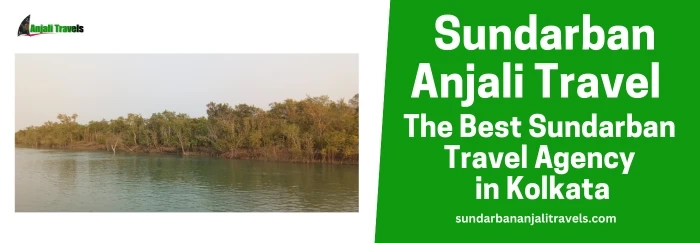 Explore the Majestic Sundarbans with Sundarban Anjali Travels and Embark an Unforgettable Sundarban Tour & Travel Experience