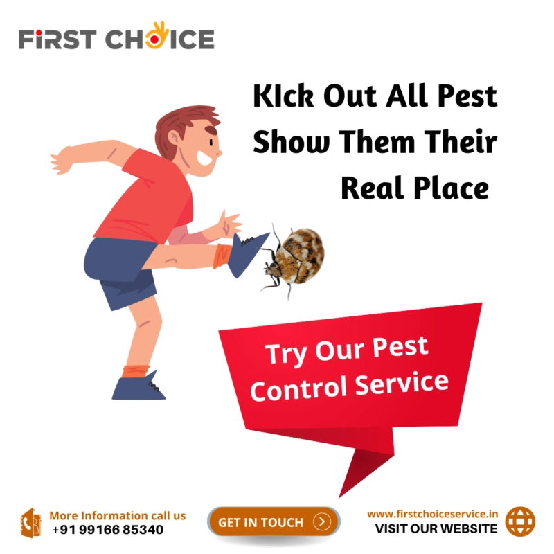 Pest Control Services in Bangalore | Pest Control Cleaning Services