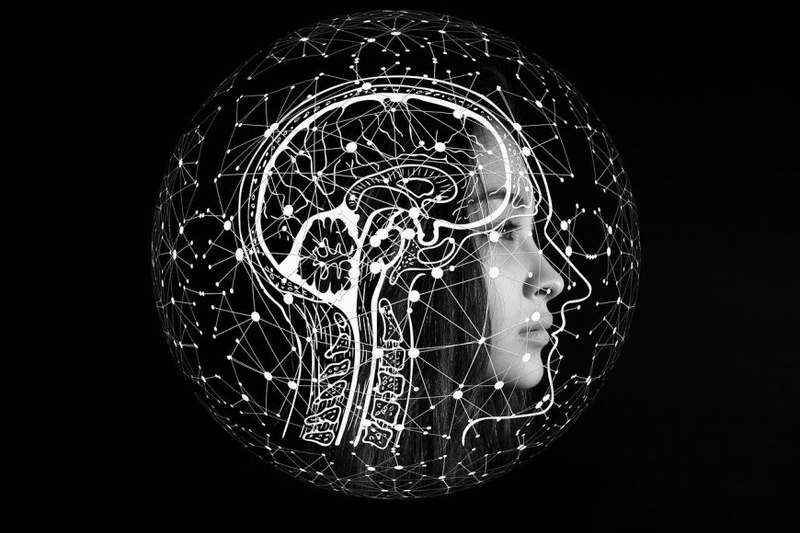 A Journey into Data Science: Understanding its Importance in Coimbatore's Technological Landscape