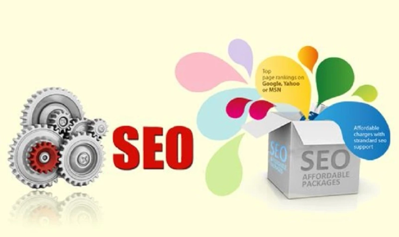 Looking for Cheap SEO Packages in Canada