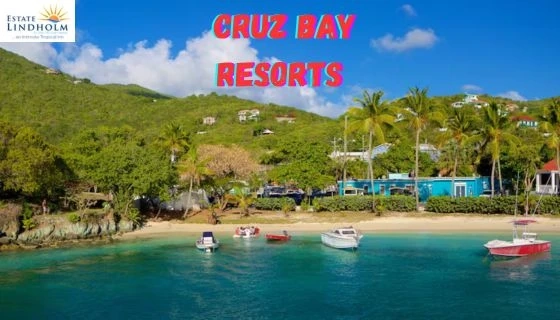 Unveiling the Enchanting Cruz Bay Resorts