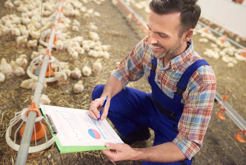 Financing Options That Help Turn Open Fields into Profitable Assets