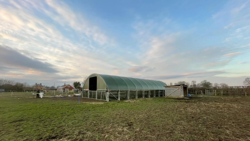 Bremsen traditionelle Viehunterstände Ihre Entwicklung?