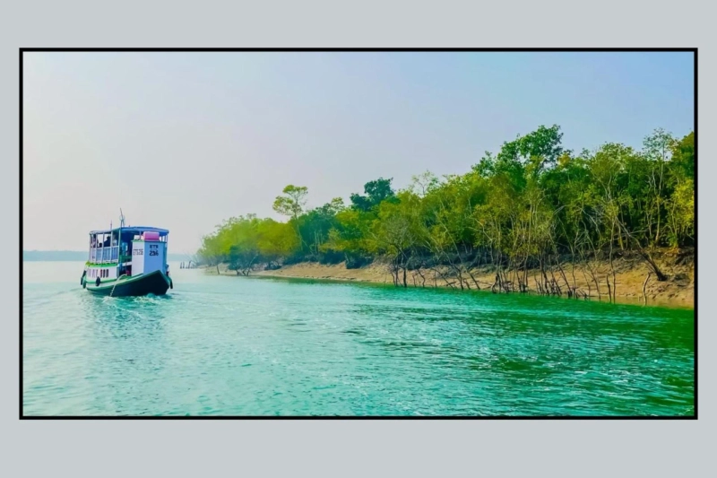 SUNDARBAN TOUR PACAKGE FROM KOLKATA