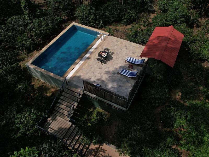 Monsoon Magic in the Jungle: A Slow-Travel Escape at Machaan Wilderness Lodge, Nagarahole