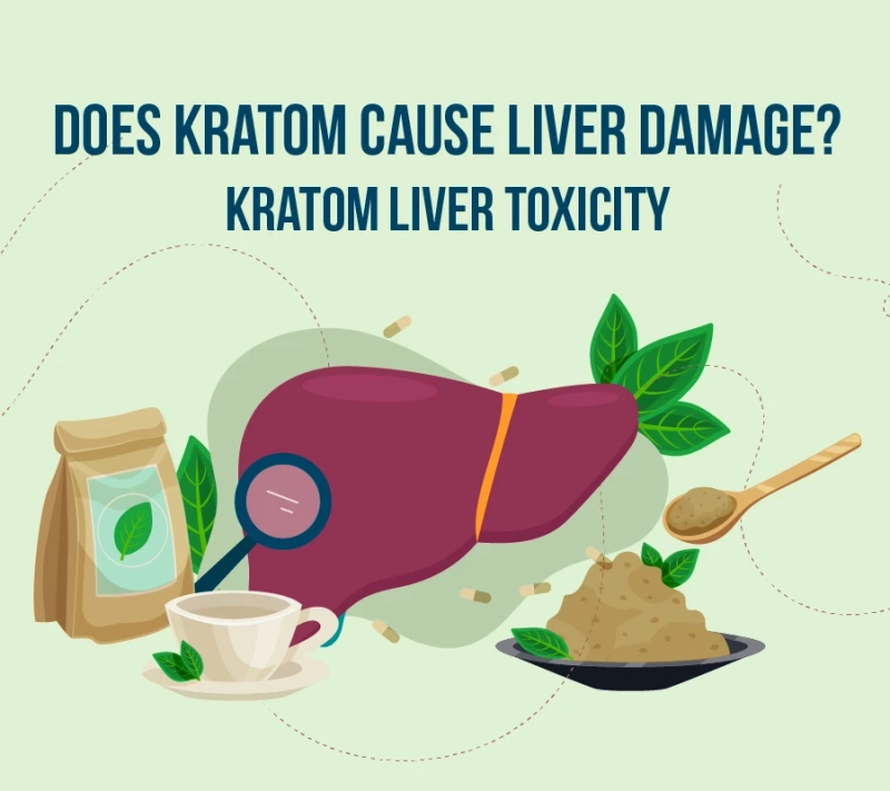 Does kratom cause liver damage? Kratom Liver toxicity
