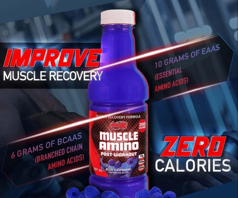 Best Muscle Amino Acids for Your Fitness Regime 