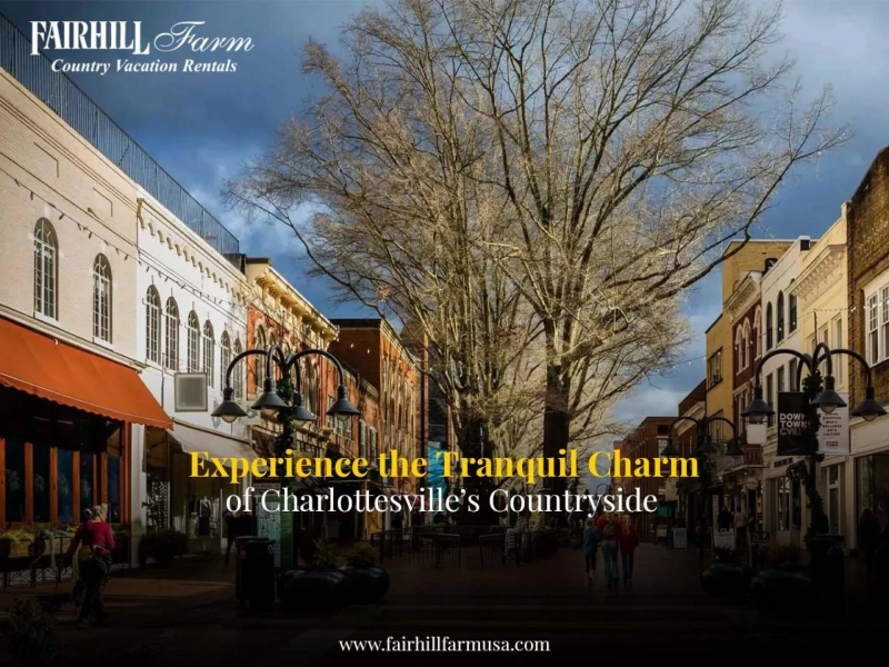 Hidden Gems: Charming Cottages in Blue Ridge Mountains, Virginia