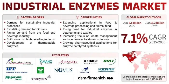 Small Molecules, Big Impact: The Industrial Enzymes Revolution